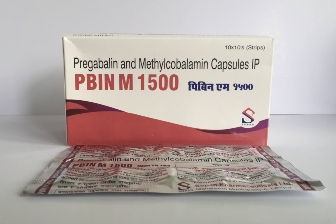 Pbin M 1500
